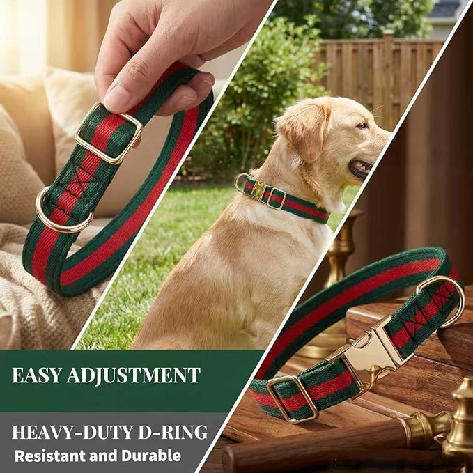 Premium Dog Collar, Cute Dog Collars Luxury Style, Durable Pet Collars with Metal Buckle Safety for Puppy Small Dogs