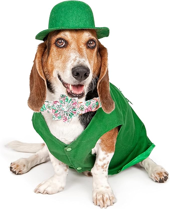 Lionheart glory St. Patrick's Day Dog Collar with Flower Dog Collar for Large Dogs, Green Collars Lucky Clover Shamrock Dog Collar Flower Pet Collar Bows Heavy Duty