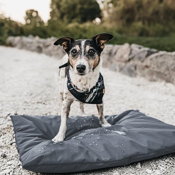 Dog Bed Cover for 44" L 32" W 4" H - 600D Oxford Waterproof with Zipper and Carry Handle - Washable, Cover Only (Gray)