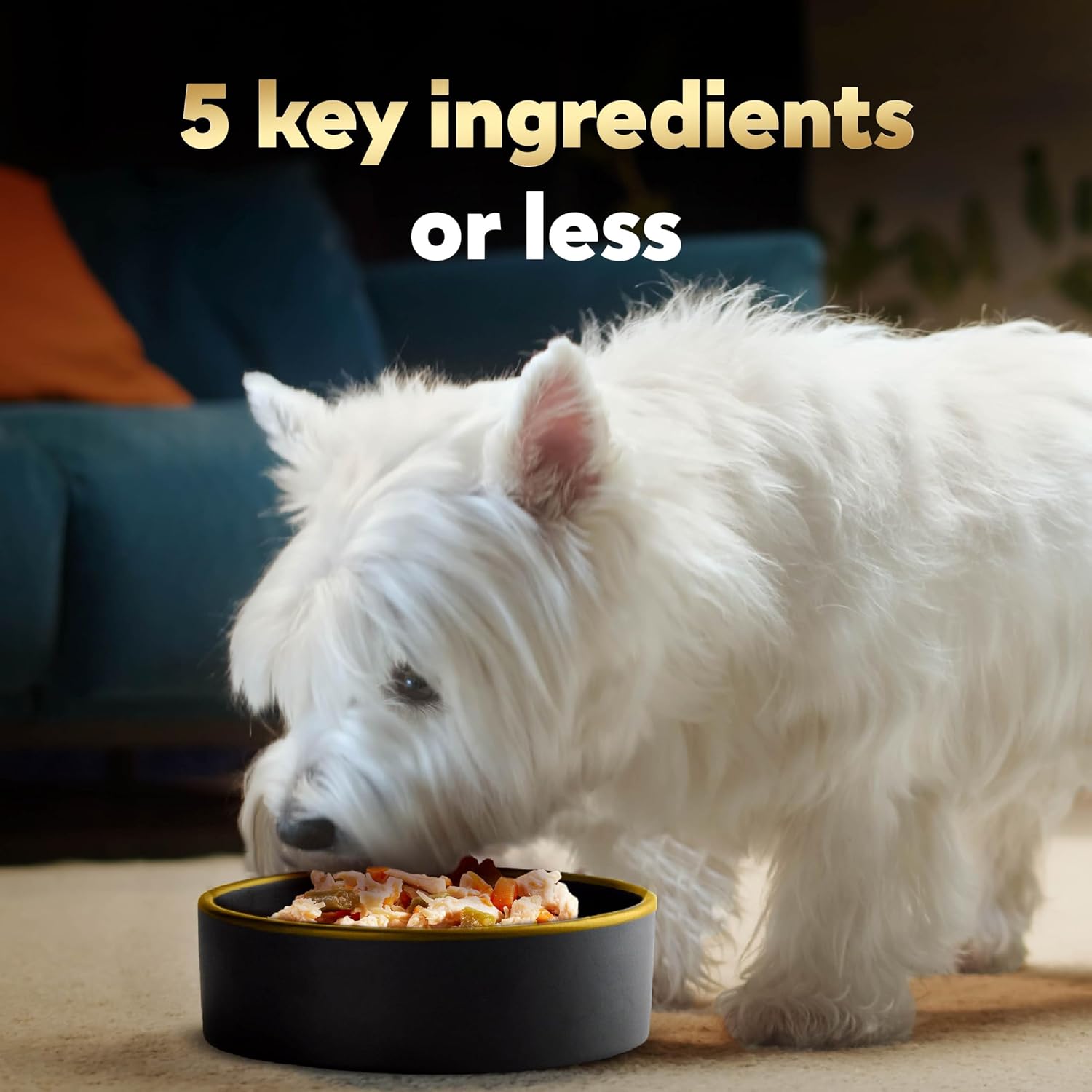 Cesar Simply Crafted Wet Dog Food Toppers, Chicken, 1.3 oz, 10 Count | Real chicken #1 ingredient, no by-products or artificial flavors, slow-cooked, easy to digest, single-serve tubs