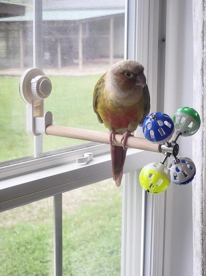 Window Suction Cup Bird Perch Toy for Parakeet, Movable Parrot Stand with Rotating Balls Bells for Window Mirror Glass Mount, Spinning Perch Toy (White, Suction Cup)