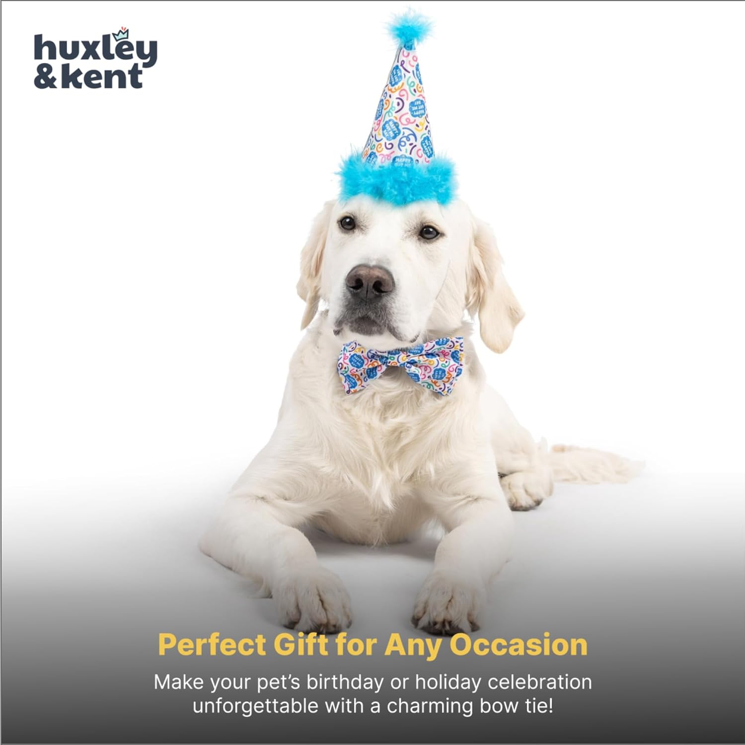 Huxley & Kent Pet Bow Tie for Dogs & Cats, Happy Got Me Day, Large/XLarge | Hook & Loop Attaches to Any Collar, Soft Polyester, Lightweight & Machine Washable, Perfect for Holidays & Photos