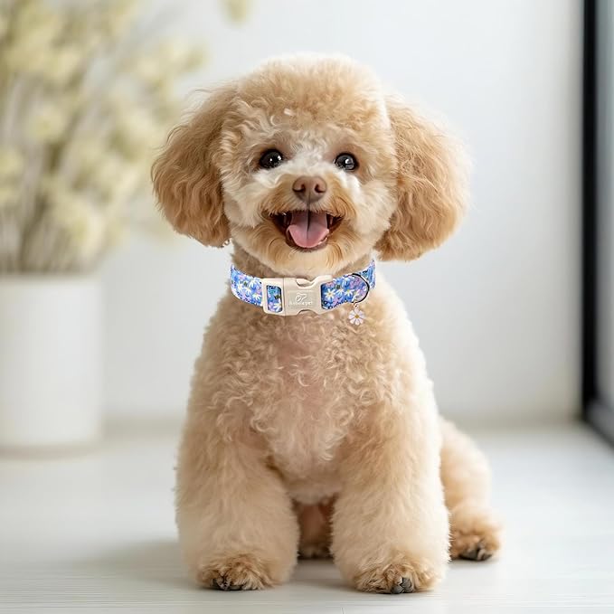 Floral Dog Collar for Large Dogs - Cute Spring Dog Collars, Soft Lightweight Bee & Daisy Puppy Collar, Breathable Adjustable Male Female Blue Wildflowers Dogs Collars XL