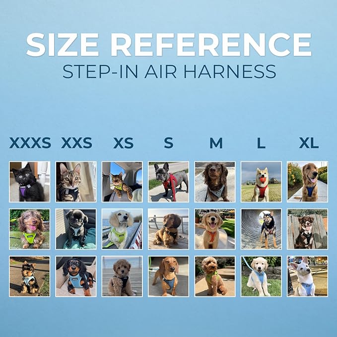 Best Pet Supplies Voyager Step-in Air Harness - All Weather Mesh, Reflective, No Pull Harness for Dogs, Cats - Secure with Hook & Loop Fastener, Buckle, Double D-Rings - Gray 2-Tone, M