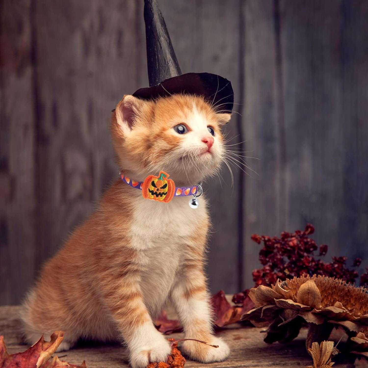 PUPTECK Halloween/Thanksgiving/Christmas Cat Collars Breakaway with Bell | Holiday Pattern Fall Pet Collar 3 Pack for Girl Boy Kittens Puppies and Small Pets