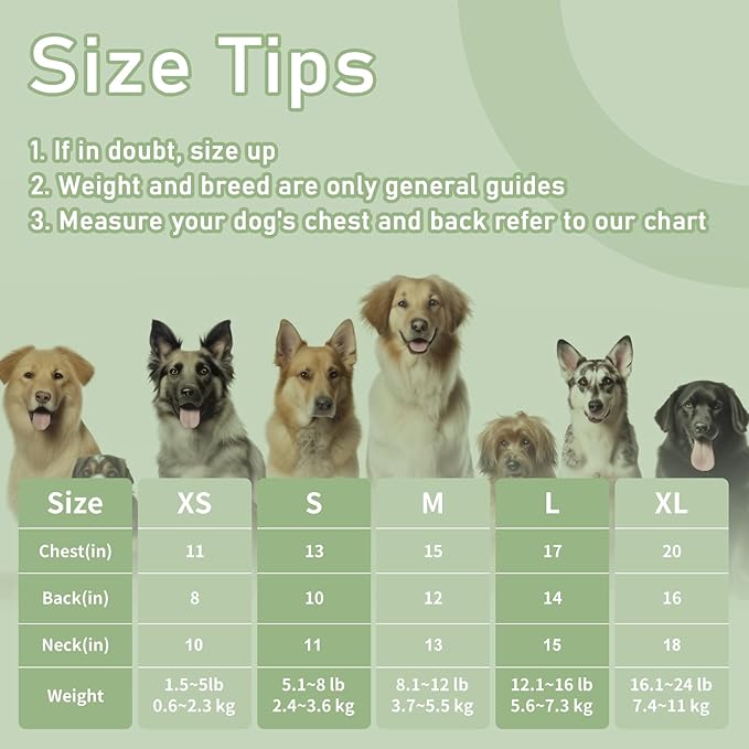 Dog Clothes, Stripe Dogs Shirts for Small & Medium Breeds, Pet Tank Top, Breathable Waffle Fabric Puppy Outfit, Shirt for Chihuahua, Yorkie, Dachshund, Corgi (Green, Medium)