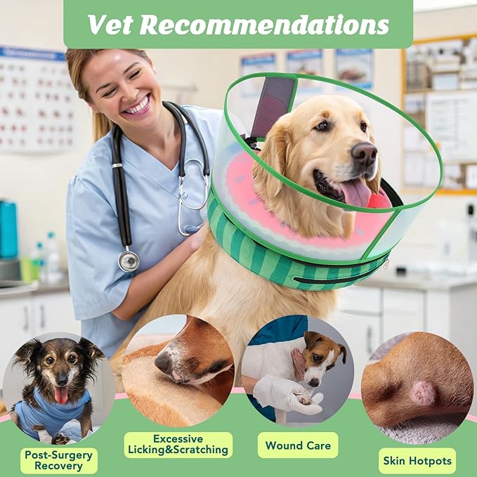 Inflatable Dog Cone with Anti-Licking Clear Shield, Protective Dog Donut Collar After Surgery, Adjustable Soft Recovery Cone for Pets, Alternative Collar with Buckle Strap (Watermelon, XL)