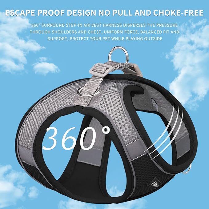 AIITLE Small Harness for Puppy with A Leash - Dog Vest Harness with Super Breathable Mesh, Reflective No-Pull Pet Harness for Outdoor Walking, Running for Small Dogs, Cats Black XXS