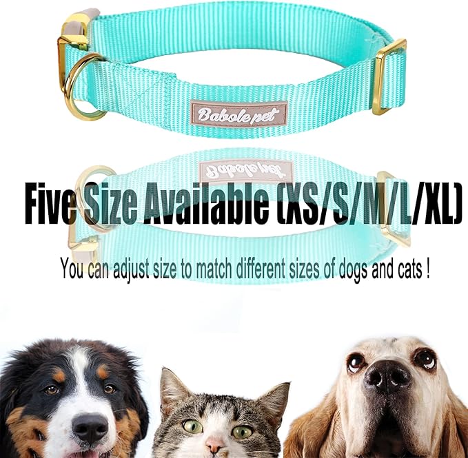 Nylon Dog Collar - Adjustable Lake Blue Soft Webbing Dog Collars for Small Medium Large Dogs Boy Girl Puppy Collar with Safety Metal Buckle L