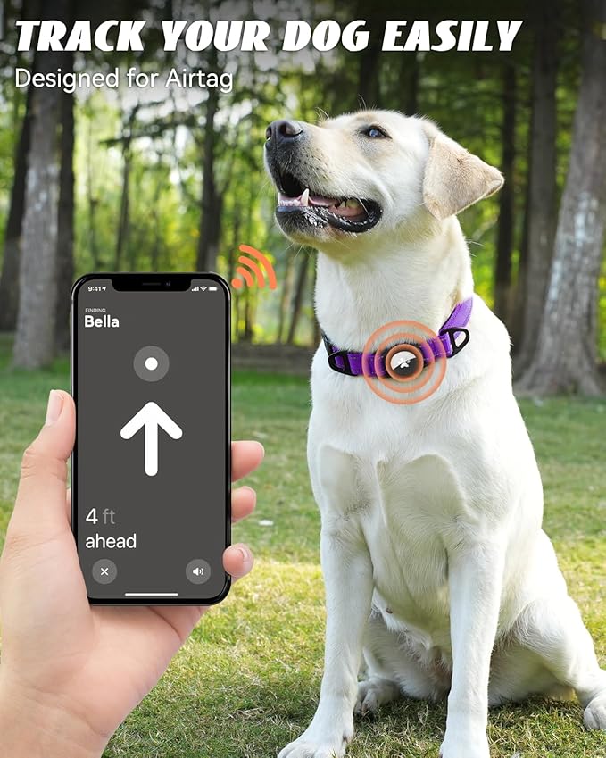 Joytale Airtag Dog Collar, Reflective Pet Collar with Waterproof AirTag Holder, Dual D-Rings, Soft Padded Adjustable for Large Dogs, Purple, L