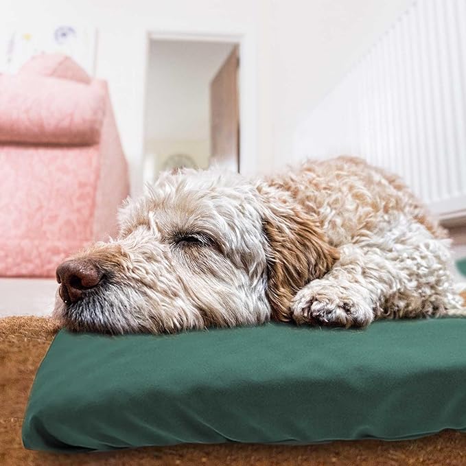 Dog Bed Cover Waterproof Replacement Machine Washable Covers for 20x15 Inch Dog Bed Heavy Duty Scratch Resistant Mattress Protector Pet Bed Cover Only Dark Green