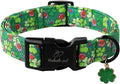 St Patricks Day Dog Collar for Small Dogs - Lucky Flower Shamrock Green Dog Collars, Cute Irish Clover Puppy Collar with Quick Release Buckle for Girls&Boys Dogs S