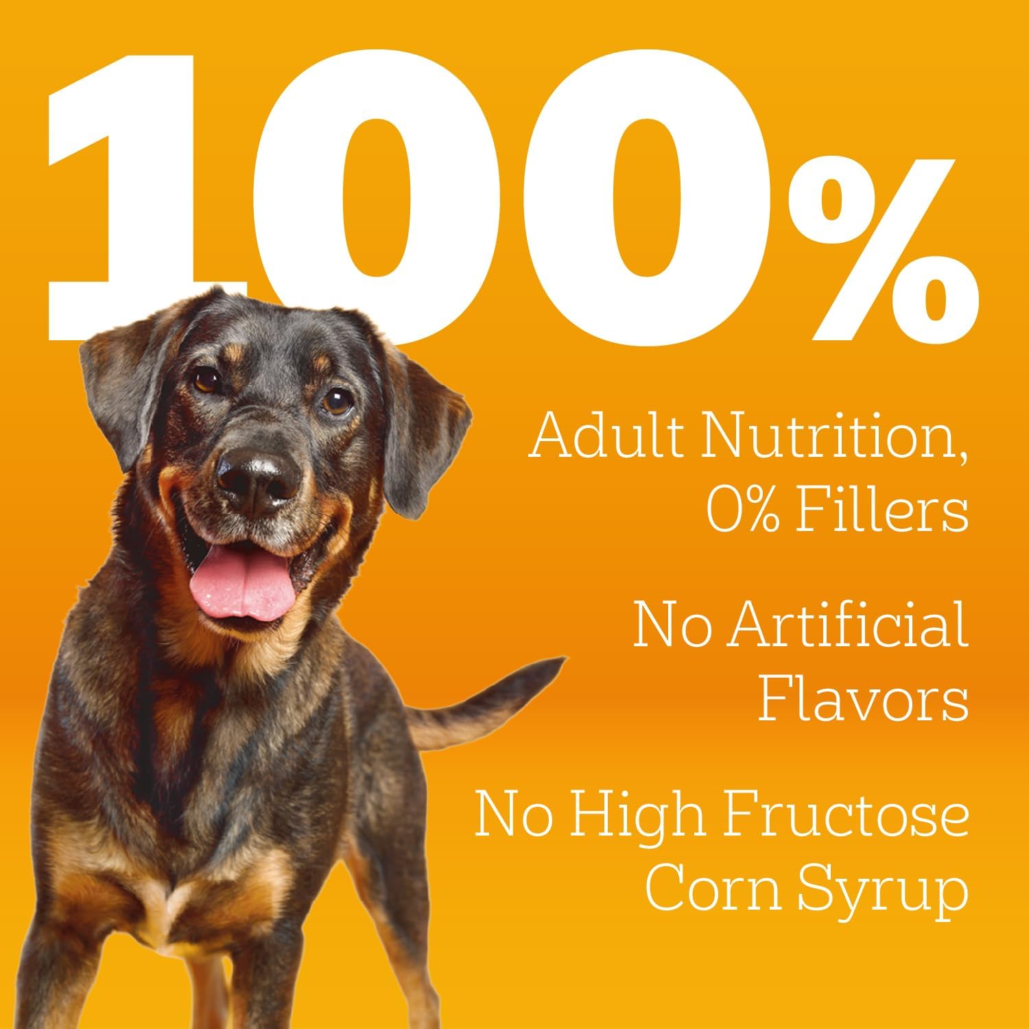 Pedigree Complete Nutrition Dry Dog Food, Chicken & Vegetable, 18 lb | Nutrient boost, prebiotic fibers, 36 vitamins & minerals, Omega 6 & Zinc, natural flavors, supports skin & coat
