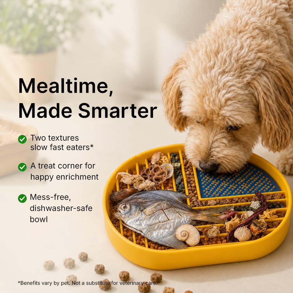 Snack Dish Slow Feeder Bowl for Dogs & Cats – Dual Pattern Design with Treat Corner, Mess-Free Feeding, Dishwasher Safe | Kubi Pets