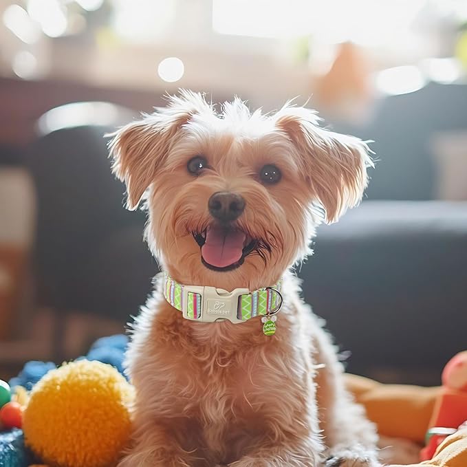 Easter Dog Collar for Small Dogs - Brightly Colored Stripe Easter Collars for Boy Girl Dogs, Adjustable Spring Holiday Pet Collars with Quick Release Buckle XS