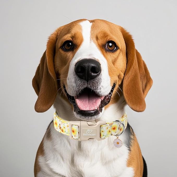Sunflower Dog Collar, Adjustable Cute Dog Collars for Small Dogs, Lightweight Summer Fall Pet Collar with Quick-Release Buckle for Boy&Girl Dogs S