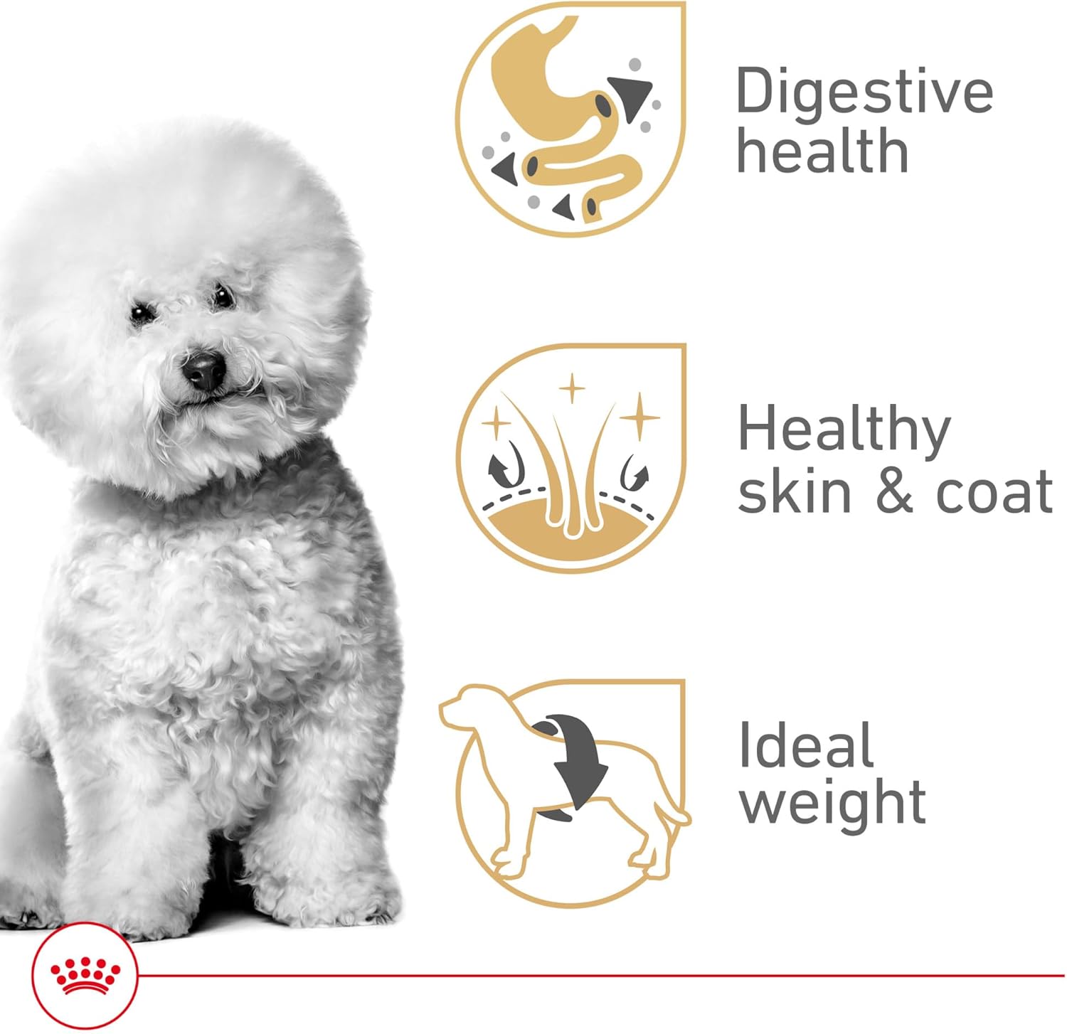 ROYAL CANIN Bichon Frise Adult Dry Dog Food, 10 lb Bag | Supports Skin & Coat with Essential Nutrients, For Adult Bichon Frises 10+ Months, Specialized Kibble for Easy Pickup