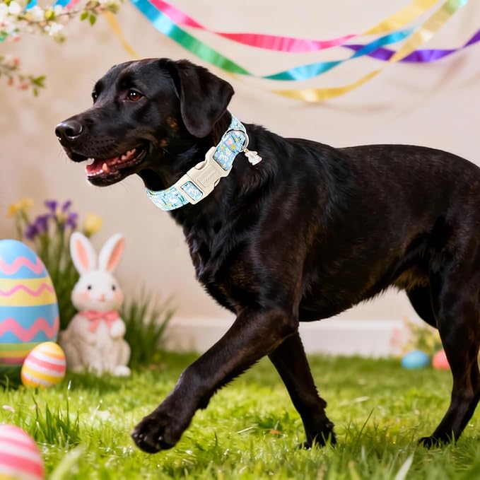 DOGWONG Easter Dog Collar-Cute Easter Rabbit Bunnies Egg Dog Collar, Adjustable Soft Easter Dog Collar for Small Medium Dogs, XS
