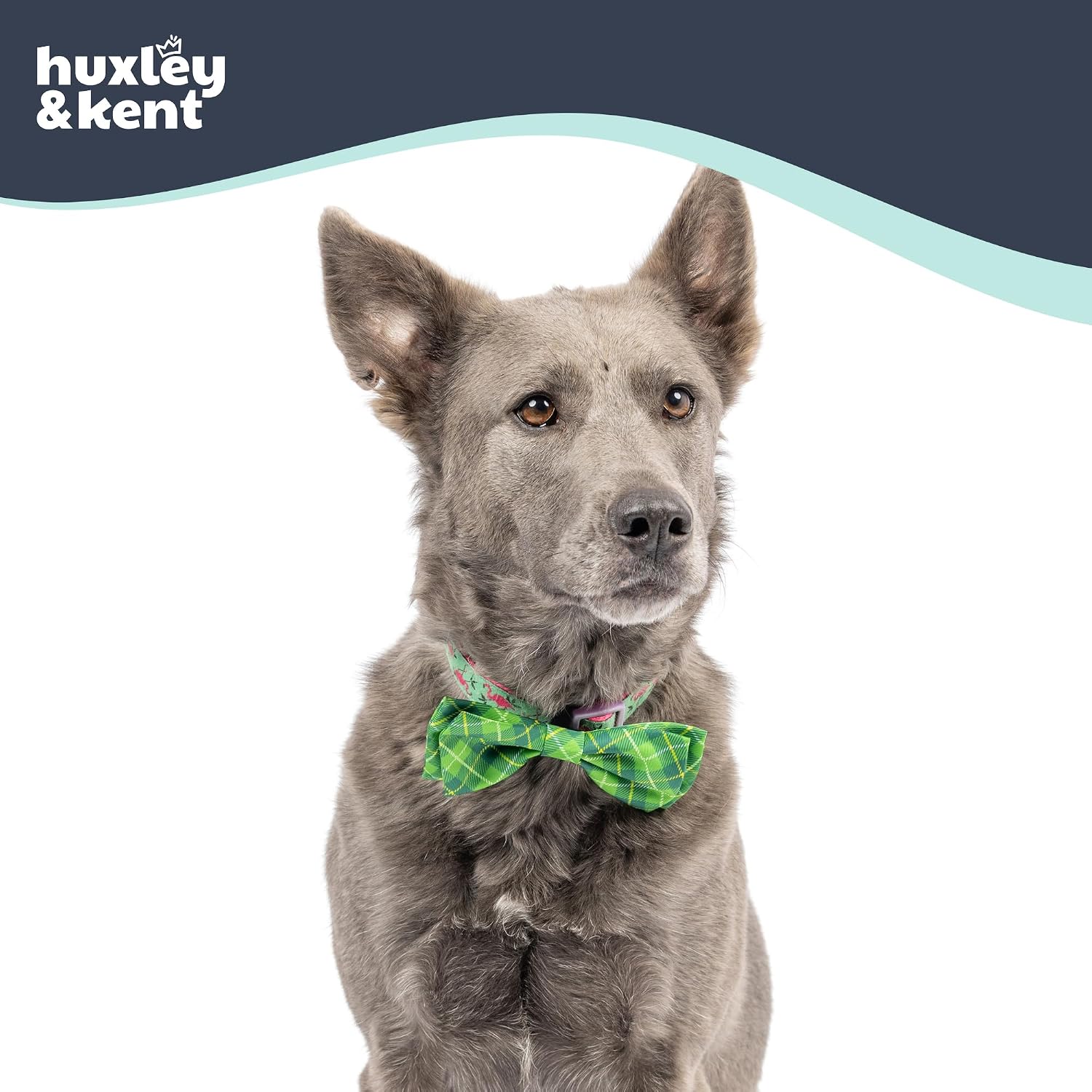 Huxley & Kent Pet Bow Tie for Dogs & Cats, Irish Plaid, Small/Medium | Hook & Loop Attaches to Any Collar, Soft Polyester, Lightweight & Machine Washable, Perfect for Holidays & Photos