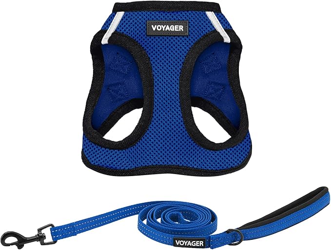 Best Pet Supplies Voyager Step-in Air All Weather Mesh Harness and Reflective Dog 5 ft Leash Combo with Neoprene Handle, for Small, Medium and Large Breed Puppies - Royal Blue/Black Trim, XXX-Small