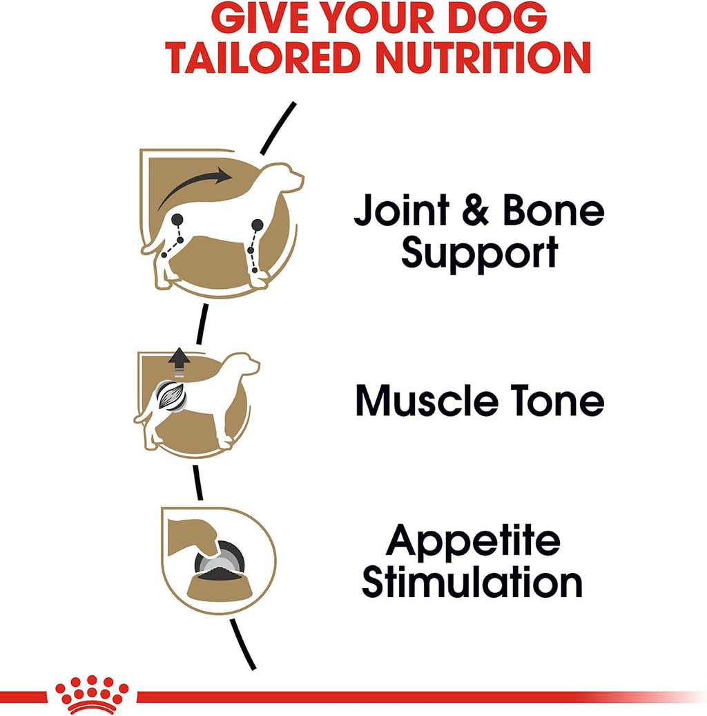 Royal Canin Dachshund Adult Wet Dog Food, 3 oz, 6-Pack | Muscle Support with L-Carnitine, Muscle Tone Support, For Adult Dachshunds 10+ Months, Loaf in Sauce