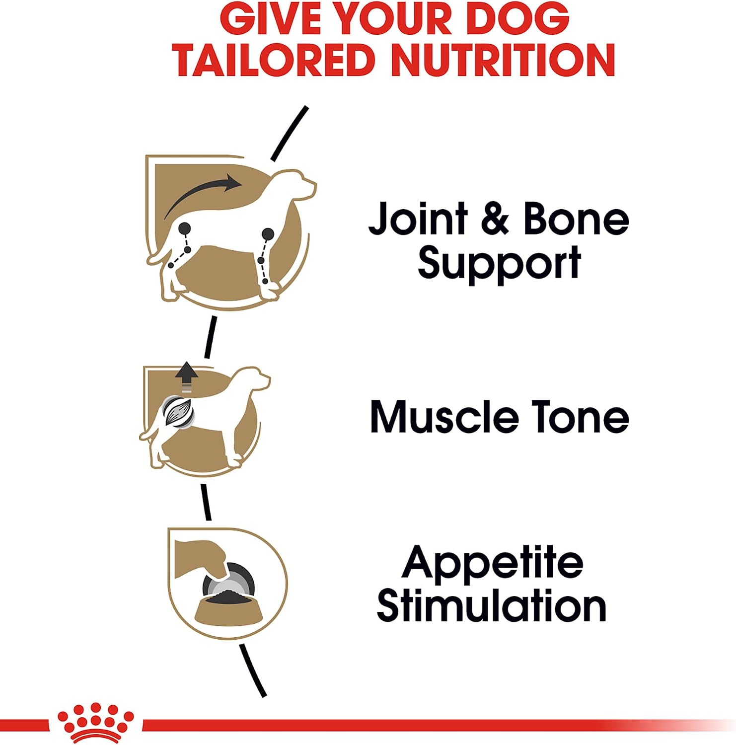 Royal Canin Dachshund Adult Wet Dog Food, 3 oz, 6-Pack | Muscle Support with L-Carnitine, Muscle Tone Support, For Adult Dachshunds 10+ Months, Loaf in Sauce