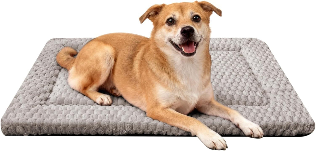 Dog Bed Mat - Dog Crate Pad - Reversible Mat for Pet Comfort - Soft Bed Crate Pads for All Seasons - Durable, Machine Washable Mat for Crates, Travel, and Home (Light Gray, 30" L*20" W*1.5" Th)