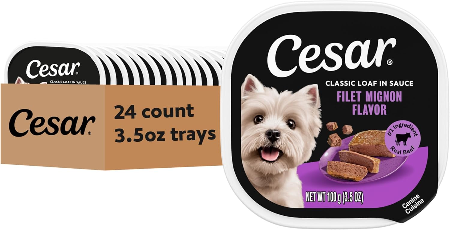 Cesar Classic Loaf in Sauce Wet Dog Food, Filet Mignon, 3.5 oz, 24 Count | Made in USA, Real beef #1 ingredient, no fillers/added sugar/artificial flavors, use as meal or topper, easy peel trays