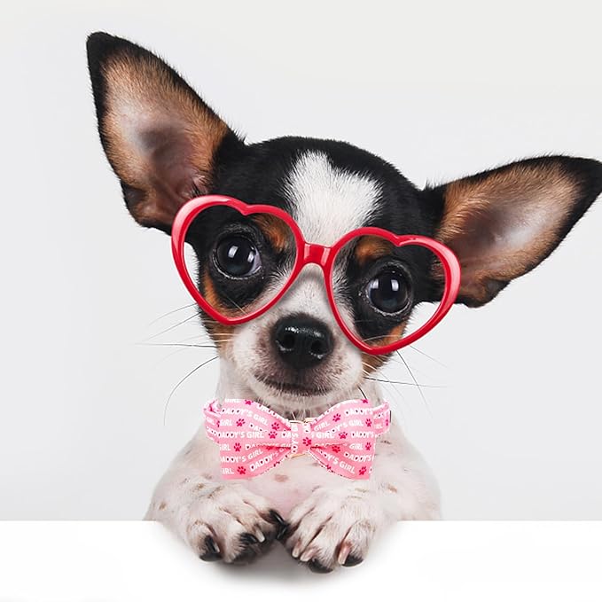 Lionheart Glory Bow Collar for Valentine's Day and Spring - Large Dog Collar With Bowtie, Pink Pet Collar