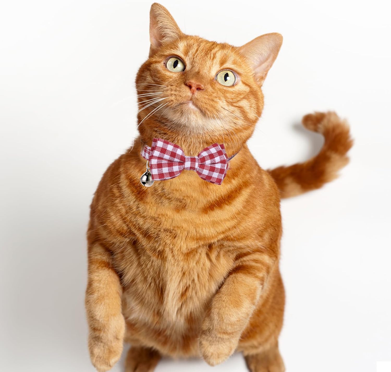 2 Pcs Red Cat Collar for Boy Girl Cats Breakaway Cat Collars with Bell Cute Christmas Kitten Bow Tie Collar Adjustable Small Puppy Safety Collar Solid Color Plaid Pet Collar