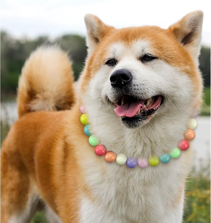 Hosiwei Dog and Cat Rainbow Beads Collar Necklace, Faux Pearls Necklace Pet Jewelry Colorful Candy Colors (Colorful, M(5.5lb-9.9lb))