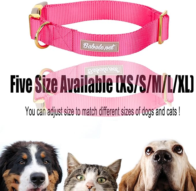 Nylon Dog Collar - Adjustable Rose Red Soft Webbing Dog Collars for Small Medium Large Dogs Boy Girl Puppy Collar with Safety Metal Buckle M