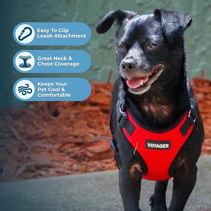 Voyager Step-in Pet Harness - All Weather Mesh, Adjustable Step in Harness for Cats and Dogs by Best Pet Supplies - Red/Black Trim, XS