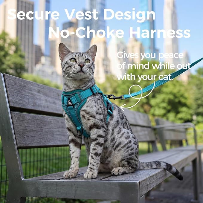 Cat Harness and Leash Set Escape Proof Tactical Extra Large Kitten Harness Emotional Support Cat Vest, Turquoise, XL
