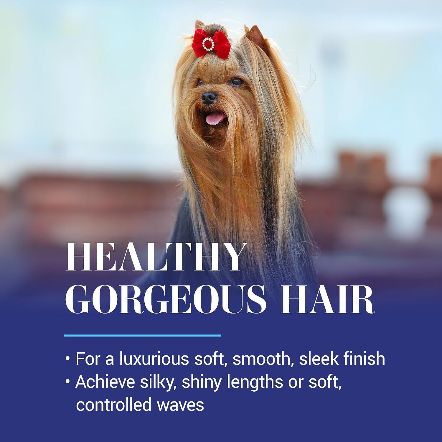 Chris Christensen Spectrum Ten Dog Conditioner, Groom Like a Professional, Gentle Cleansing, Leaves Coat Soft & Silky, Gorgeous Shine, Made in the USA, 473ml