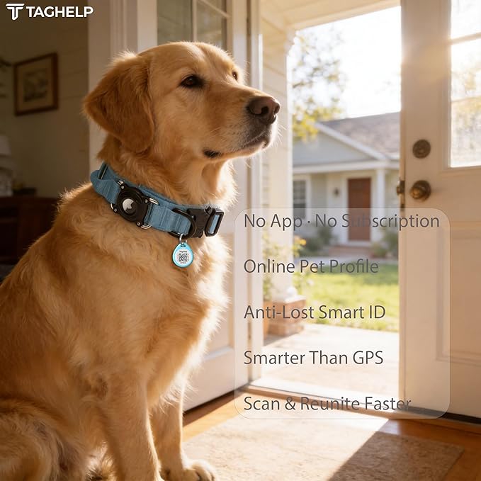 Smart QR Code Pet ID Tag for Dogs - Instant GPS Location Alert via Email, No App/Subscription Required, Waterproof Anti-Lost Personalized Dog Collar Accessories (Blue, 1.2 Inch)