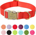 Nylon Dog Collar - Adjustable Red Soft Webbing Dog Collars for Small Medium Large Dogs Boy Girl Puppy Collar with Safety Metal Buckle XS