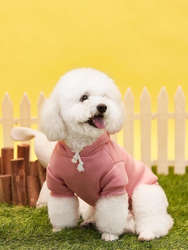 QWINEE Basic Dog Hoodie Sweatshirt Puppy Sweater Warm Cat Costumes Pet Clothes for Chihuahua Puppy Kitten Small Medium Dogs Pink and Green Large