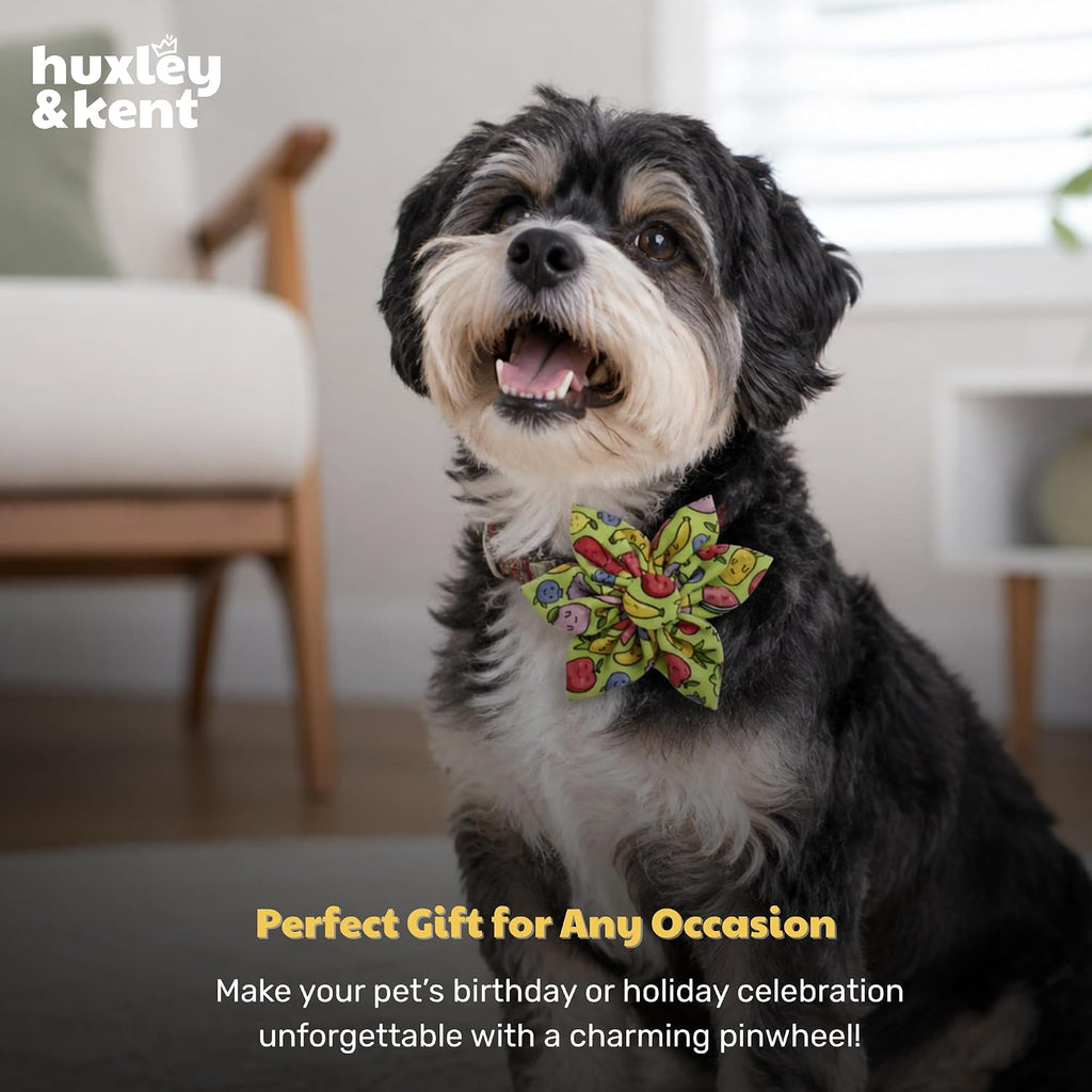 Huxley & Kent Pinwheel Collar Bow for Dogs & Cats, Tutti Fruity, Small | Clips to Any Collar with Hook & Loop, Soft, Lightweight, Machine Washable, Great for Holidays, Photos & Gifting