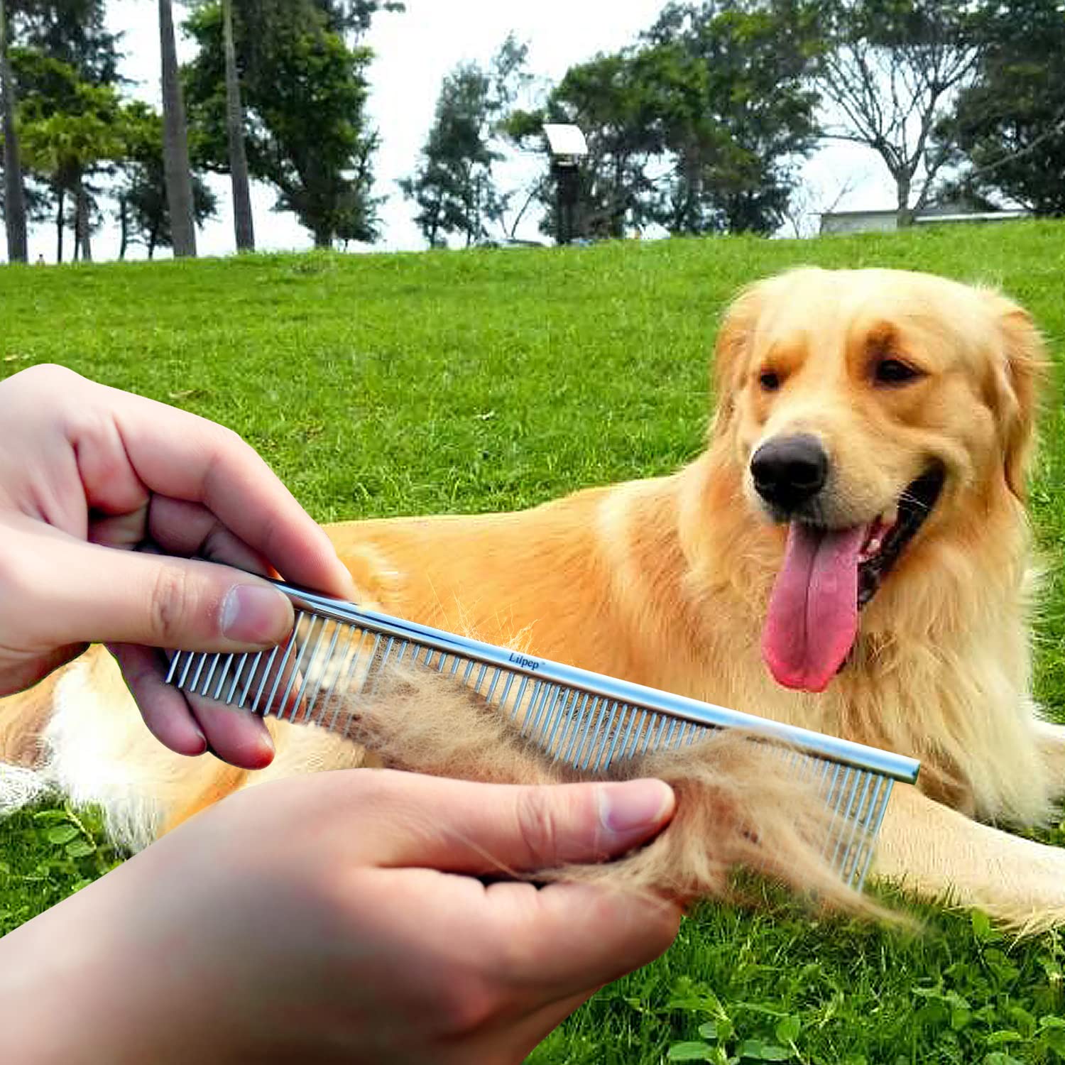 Lilpep 2PCS Stainless Steel Metal Dog Comb, For Removing Tangled Mats And Massaging Pet Combs, Professional Pet Grooming Tools