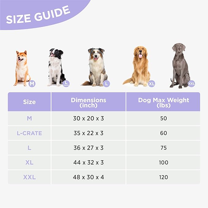 LE SURE Outdoor Waterproof Dog Bed for Extra Large Dogs, Orthopedic Egg Crate Foam Pet Bed with Oxford Fabric Surface and Removable and Durable Cover, Machine Washable, 48''x30'', Grey