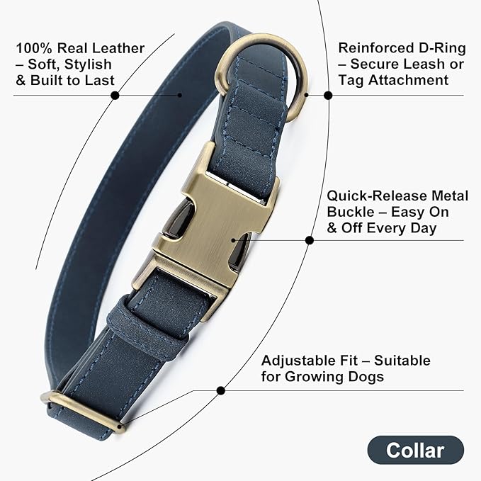 Plutus Pet Genuine Leather Dog Collar – Adjustable Pet Collar with Quick Release Metal Buckle, Soft Real Leather for Small Medium Large Dogs, Heavy Duty & Skin-Friendly (Blue, XS)