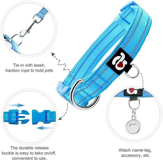 azuza Reflective Dog Collar,Soft Neoprene Padded Pet Collar with ID Tag Ring,Adjustable for Large Dogs,Sky Blue,L