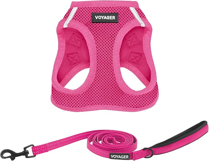 Best Pet Supplies Voyager Step-in Air All Weather Mesh Harness and Reflective Dog 5 ft Leash Combo with Neoprene Handle, for Small, Medium and Large Breed Puppies - Set (Fuchsia), S