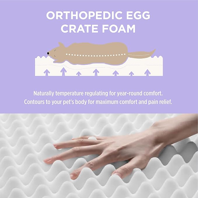 LE SURE Outdoor Waterproof Dog Bed for Extra Large Dogs, Orthopedic Egg Crate Foam Pet Bed with Oxford Fabric Surface and Removable and Durable Cover, Machine Washable, 44''x32'', Black