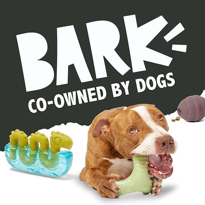 Barkbox Super Chewer Tough Dog Chew Toys for Aggressive Chewers, Dental Stimulating (Bacon Bone - Large)