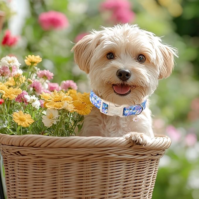 Floral Dog Collar for Medium Dogs - Cute Spring Dog Collars, Soft Lightweight Bee & Daisy Puppy Collar, Breathable Adjustable Male Female Blue Wildflowers Dogs Collars M