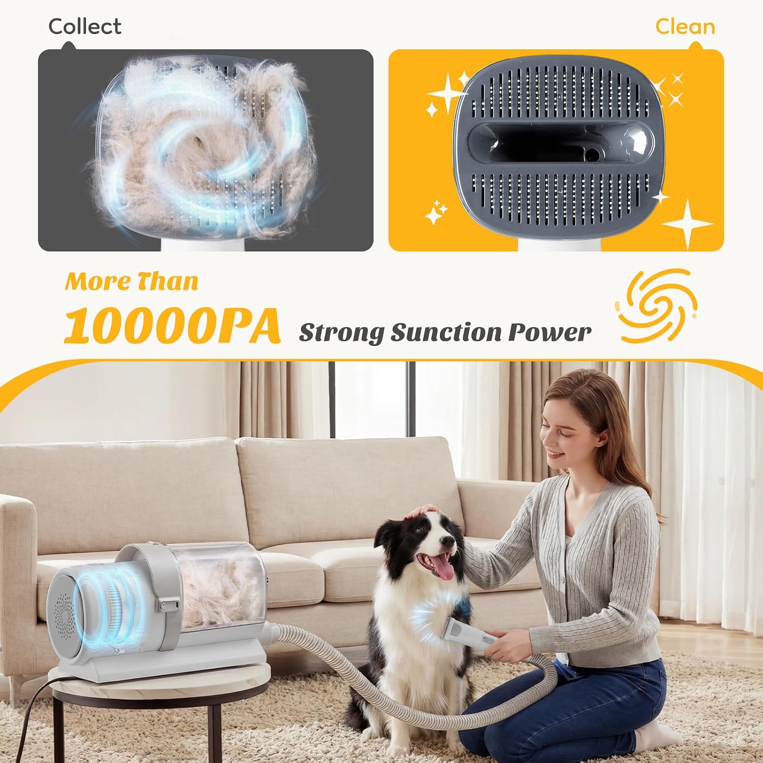 NEWBULIG Pet Grooming Vacuum Kit for Cats and Dogs, 2.5L Dust Cup | 3 Suction Modes and 5 Groomer Tools, Dog Clippers with Cordless Low Noise for Cats, Dogs Other Animals Hair Trimmer, Gray