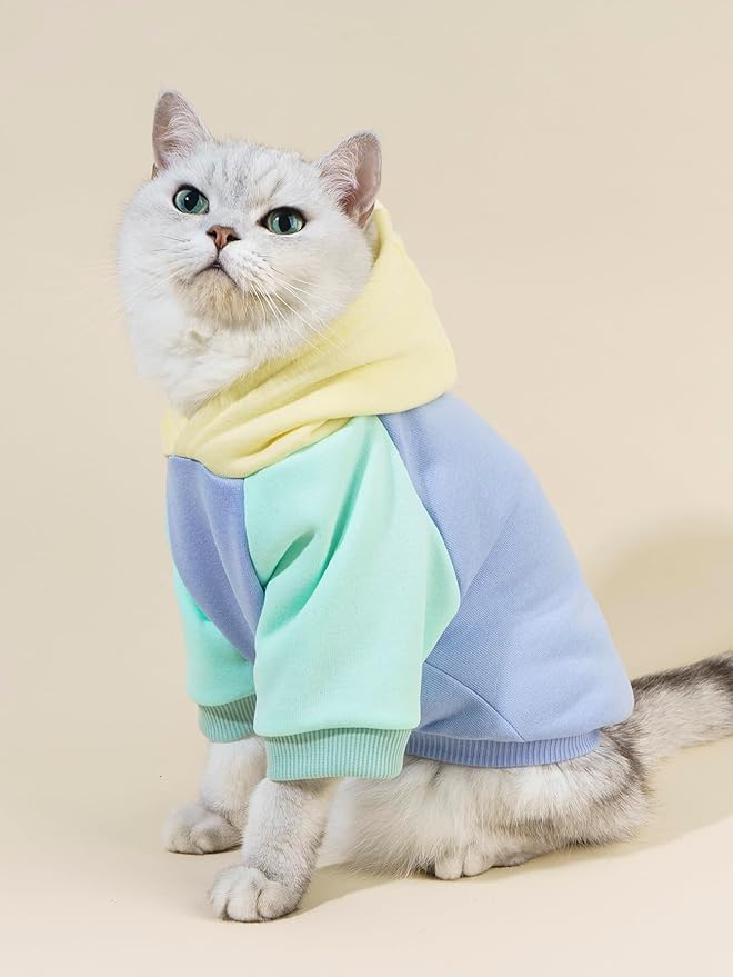 QWINEE Basic Dog Hoodie Sweatshirt Puppy Sweater Warm Cat Costumes Pet Clothes for Chihuahua Puppy Kitten Small Medium Dogs Yellow and Blue Medium