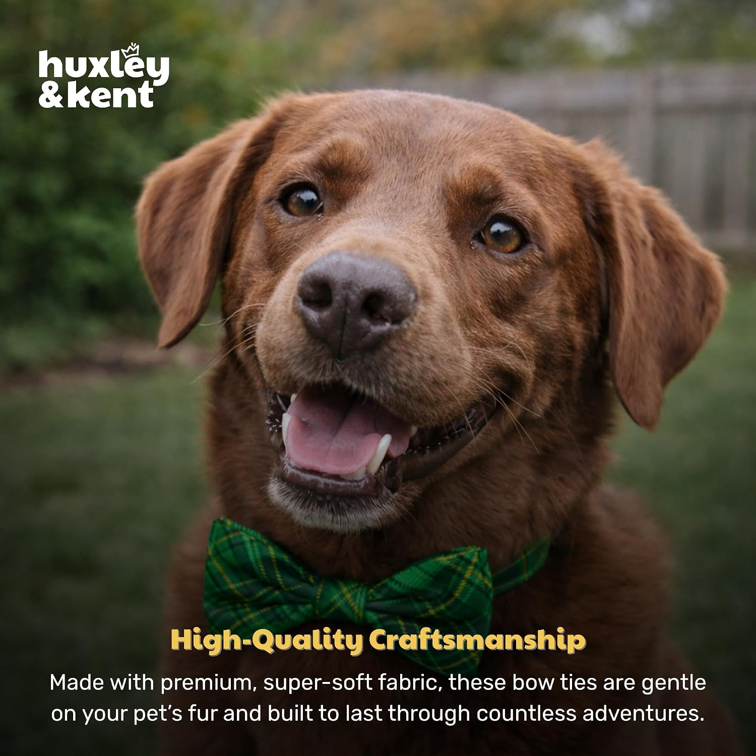 Huxley & Kent Pet Bow Tie for Dogs & Cats, Irish Plaid, Small/Medium | Hook & Loop Attaches to Any Collar, Soft Polyester, Lightweight & Machine Washable, Perfect for Holidays & Photos